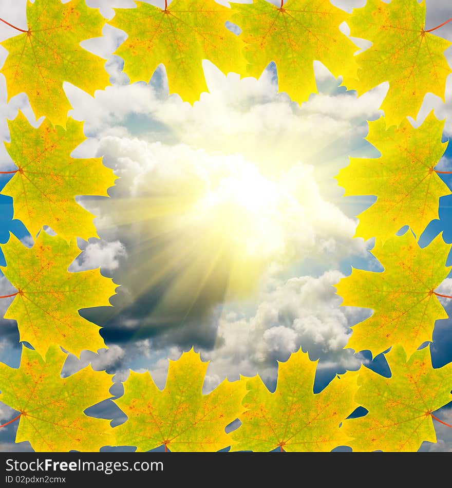 Frame of autumn maple leaves