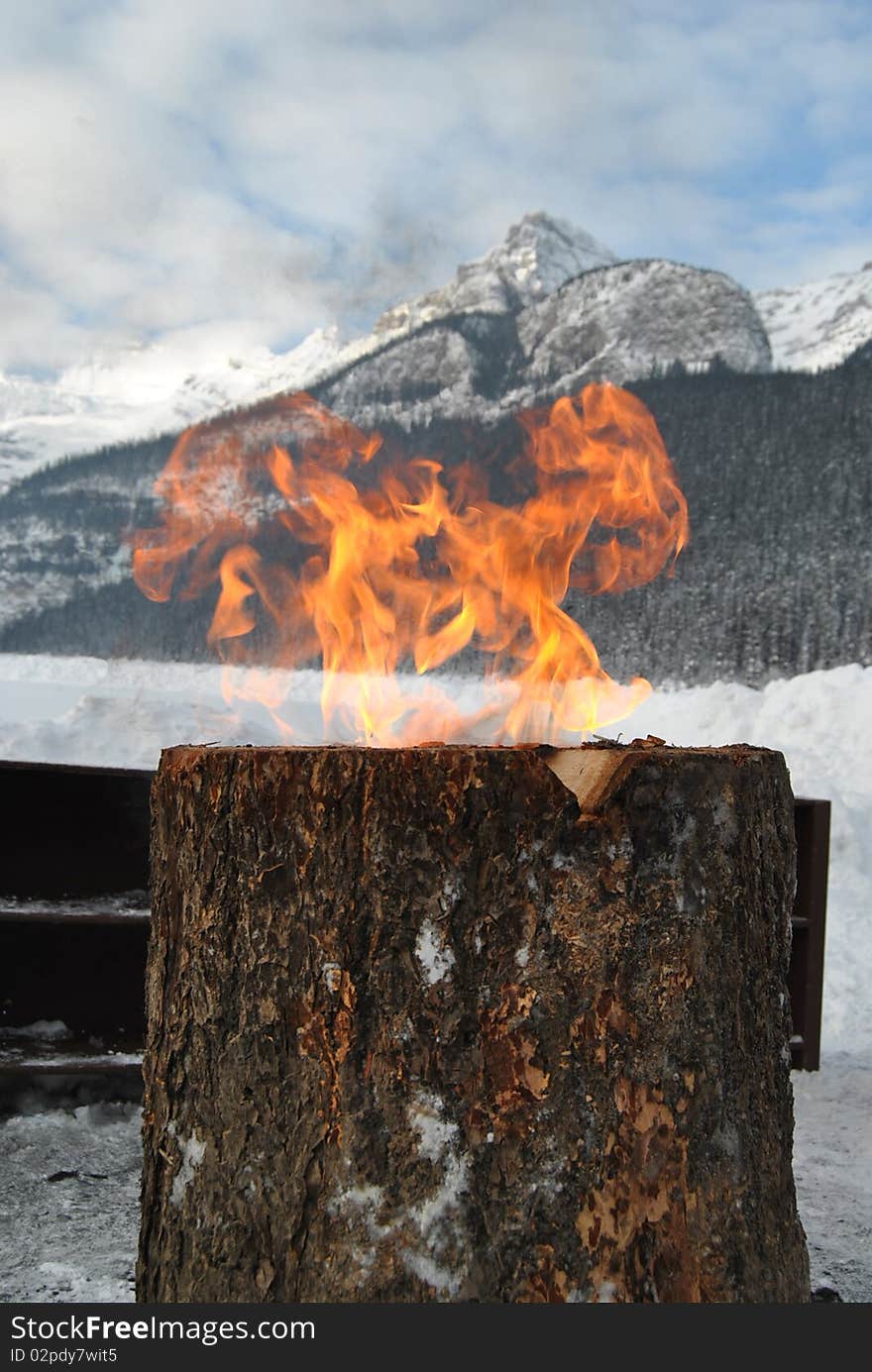 Fire on the tree ,canadian winter,lake louise. Fire on the tree ,canadian winter,lake louise