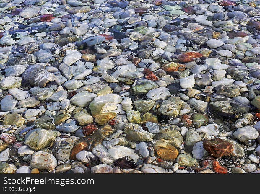 Multi colored pebbles under the crystal clear Mediterranean sea. Multi colored pebbles under the crystal clear Mediterranean sea