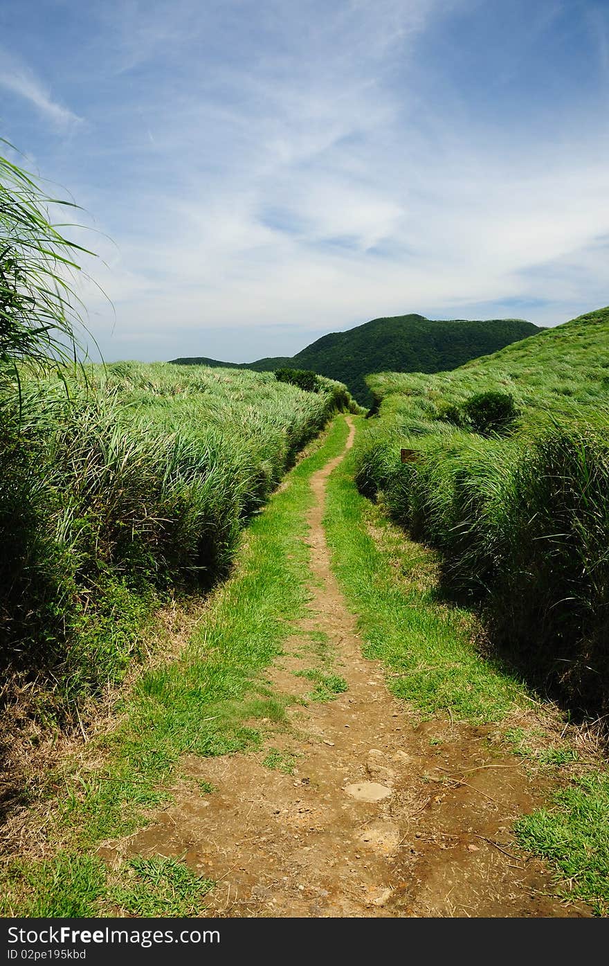 Summer view of winding hiking trail. Summer view of winding hiking trail