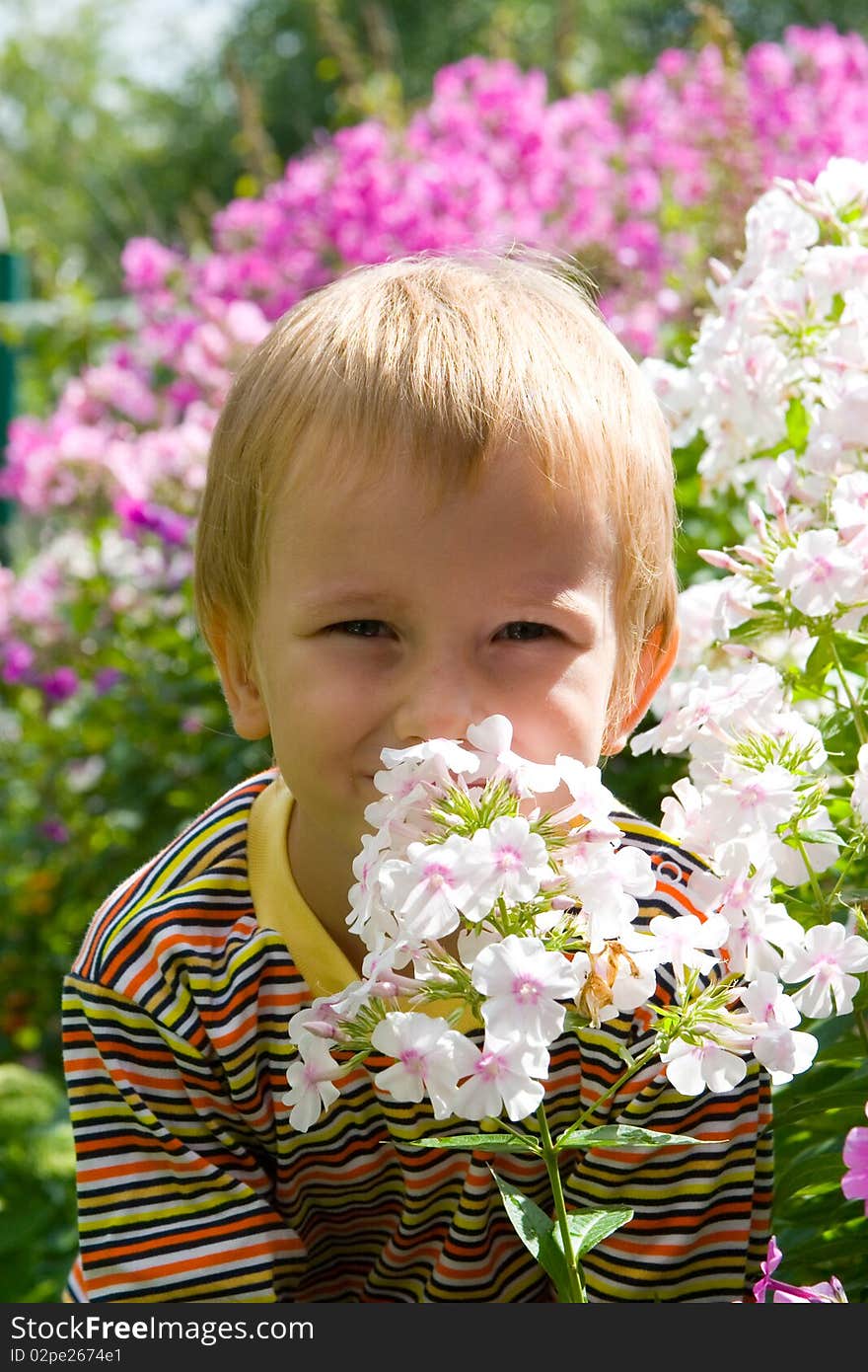 Happy boy in the garden among the flowers. Happy boy in the garden among the flowers