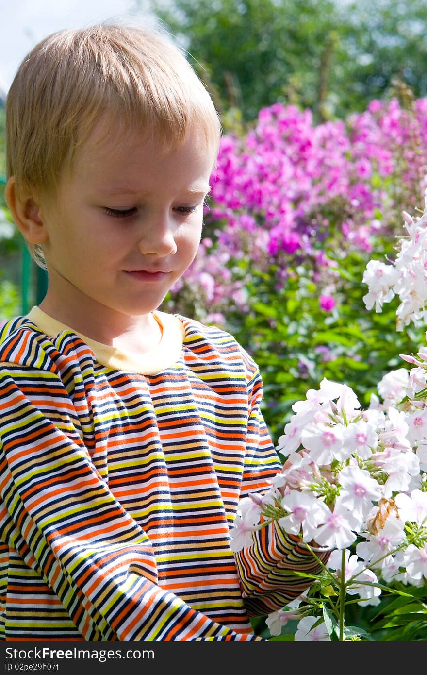 Happy boy in the garden among the flowers. Happy boy in the garden among the flowers