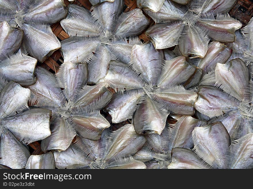 Fish At Market