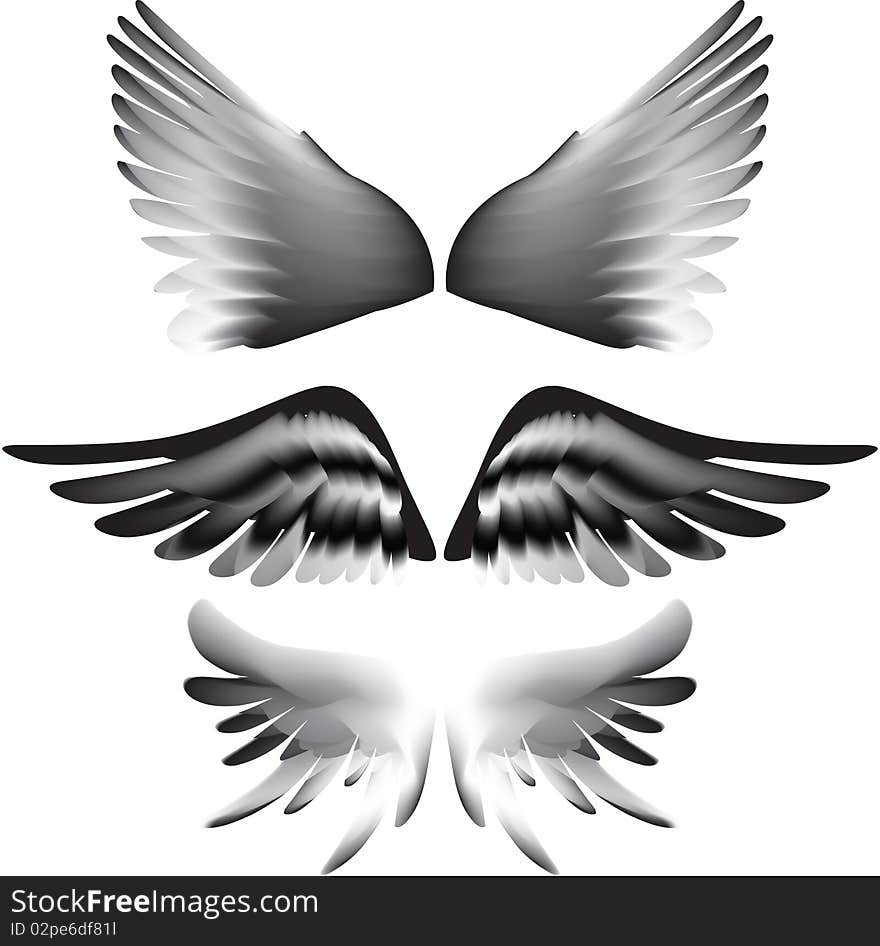 Wings silhouette