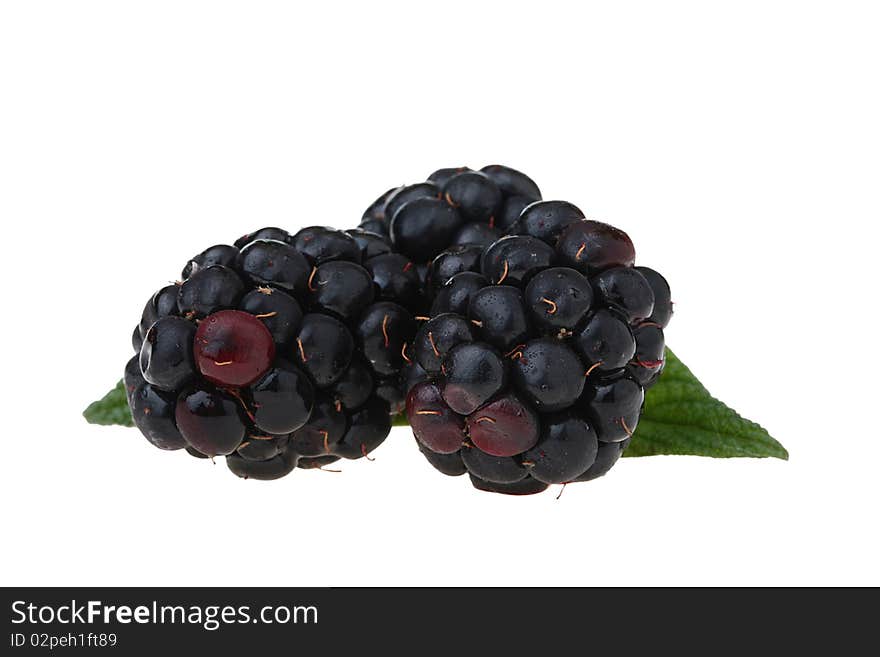 Blackberry - a berry of black colour with a green leaf on a white background.