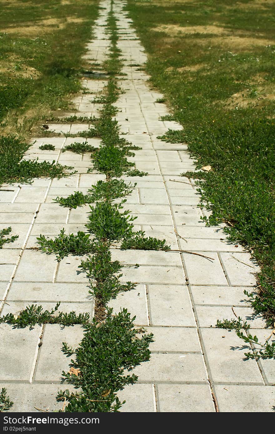 Footpath from concrete tiles across the field among a grass. Footpath from concrete tiles across the field among a grass