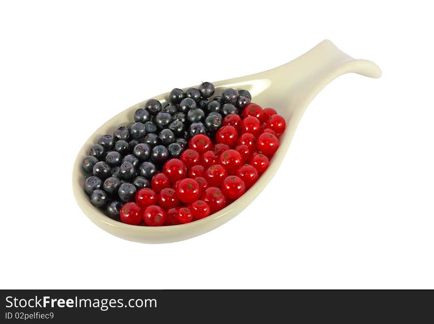 Blueberries and currants