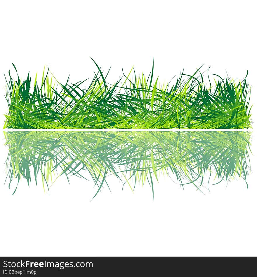 Fresh grass on water, white background