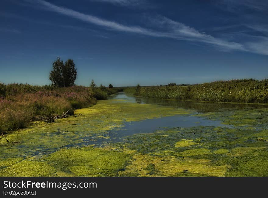 Filthy water, filled with colorful alga.