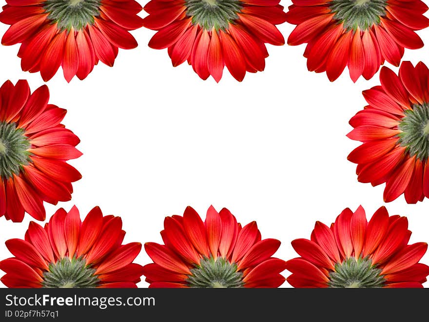 Frame of red flowers isolated