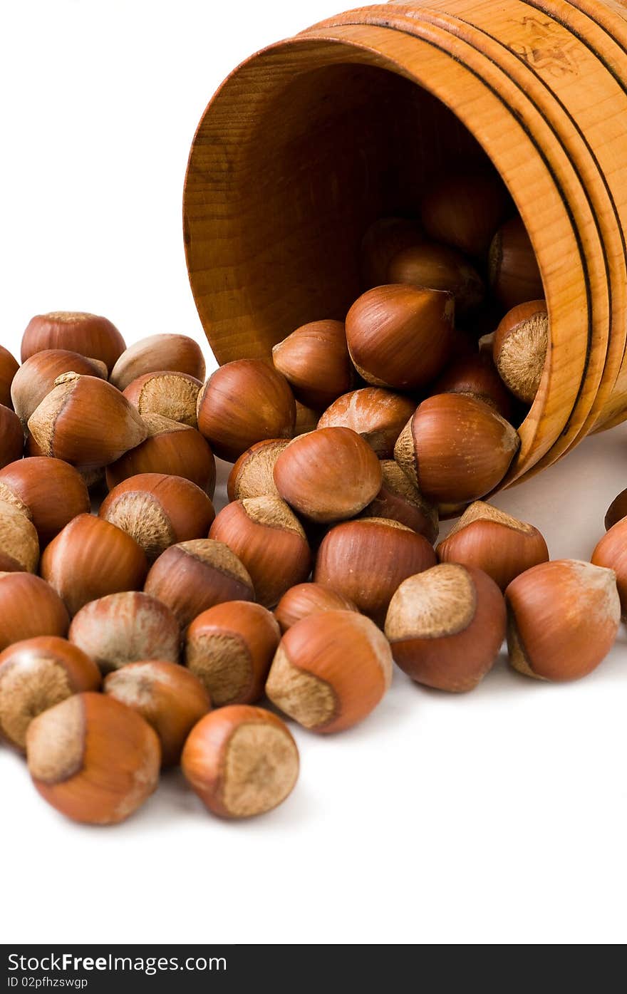 Many hazelnuts