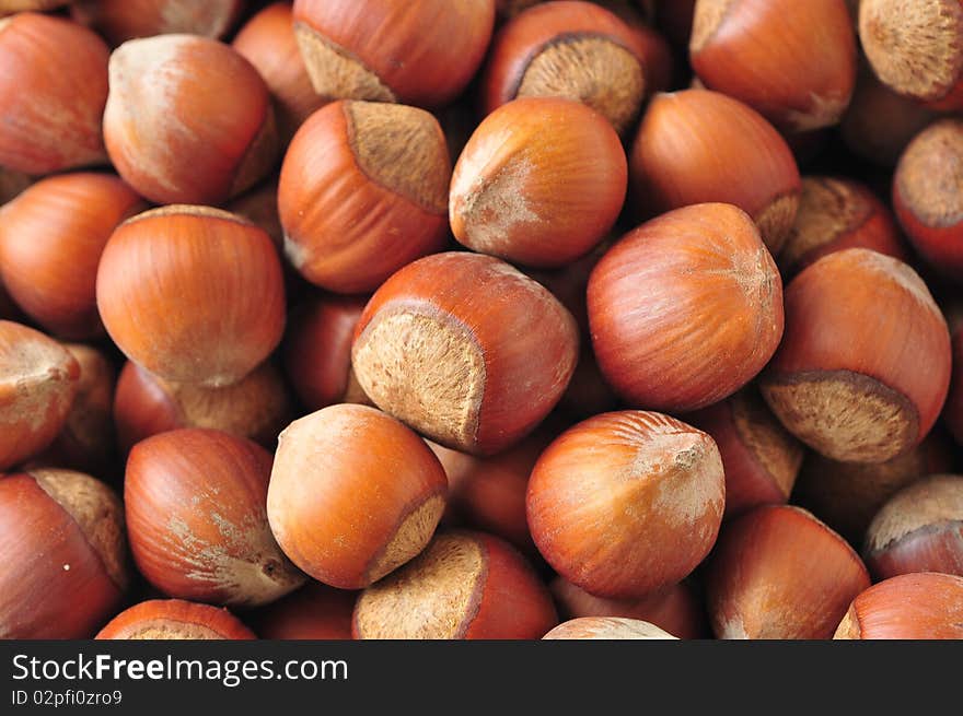 Many hazelnuts background. Macro studio shot.