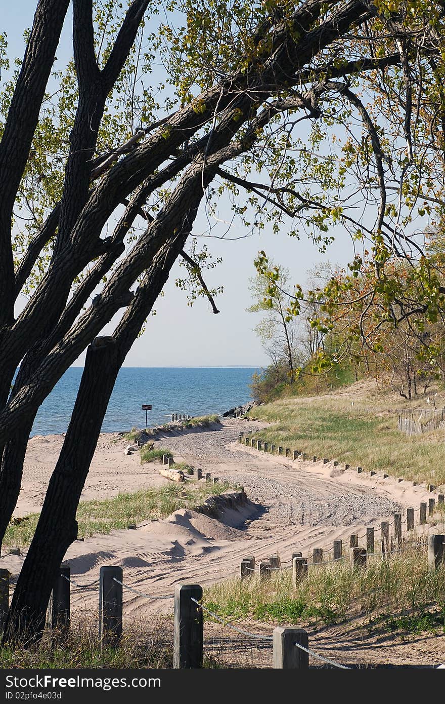 A curvy, sandy beach road outlined with wood stakes, separates the green seagrass on the sides of the inviting sand road. trees trunks, and small leaves overhang the road. the blue water in the background. A curvy, sandy beach road outlined with wood stakes, separates the green seagrass on the sides of the inviting sand road. trees trunks, and small leaves overhang the road. the blue water in the background.