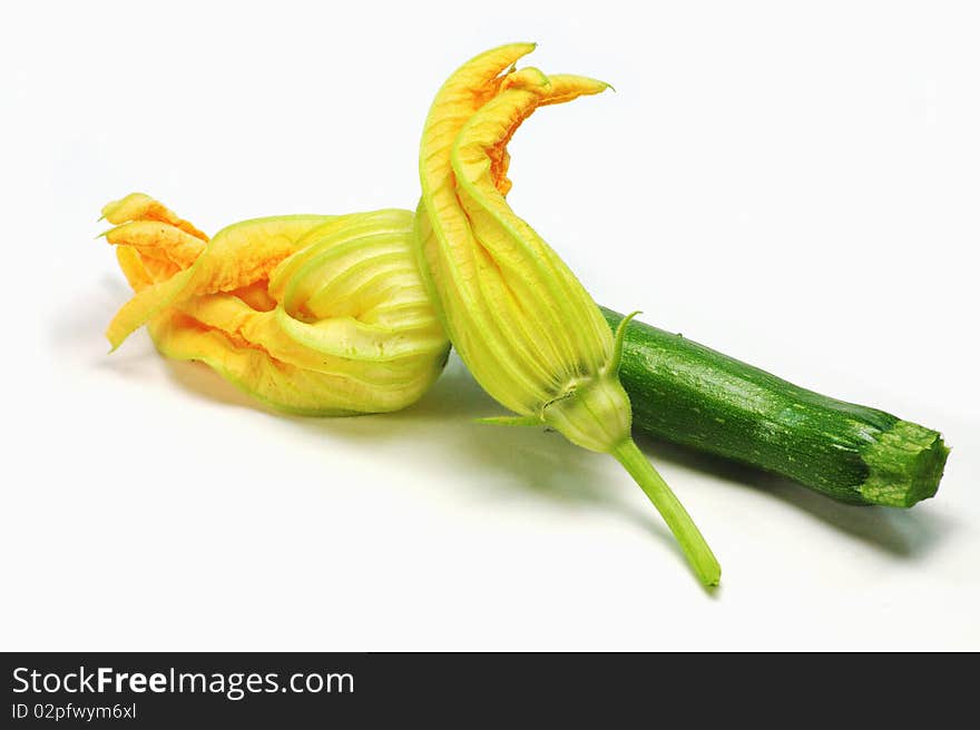 Zucchini with bloomed flowers on white background. Zucchini with bloomed flowers on white background.