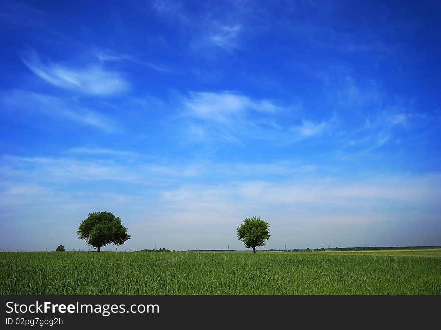 Country Landscape