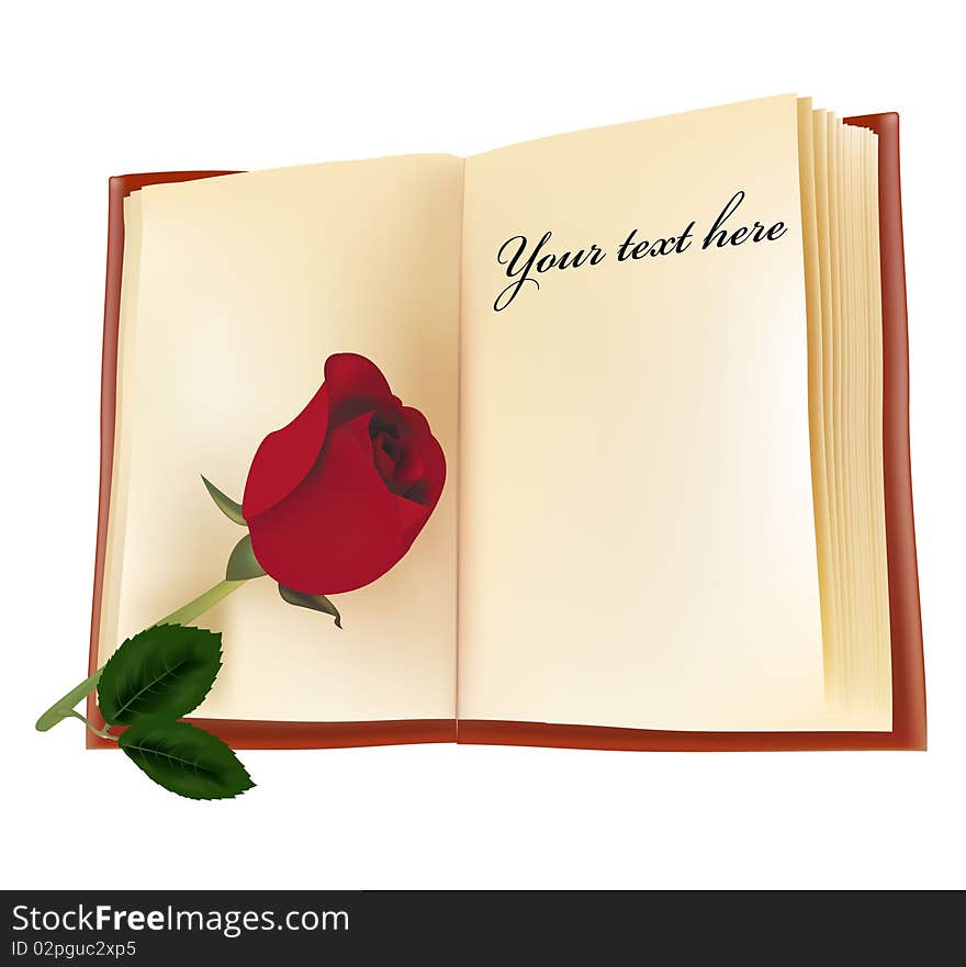 Red beautiful rose on the book.