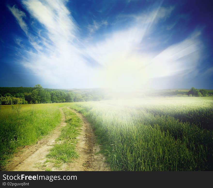 Rural dirt road through the field. Rural dirt road through the field