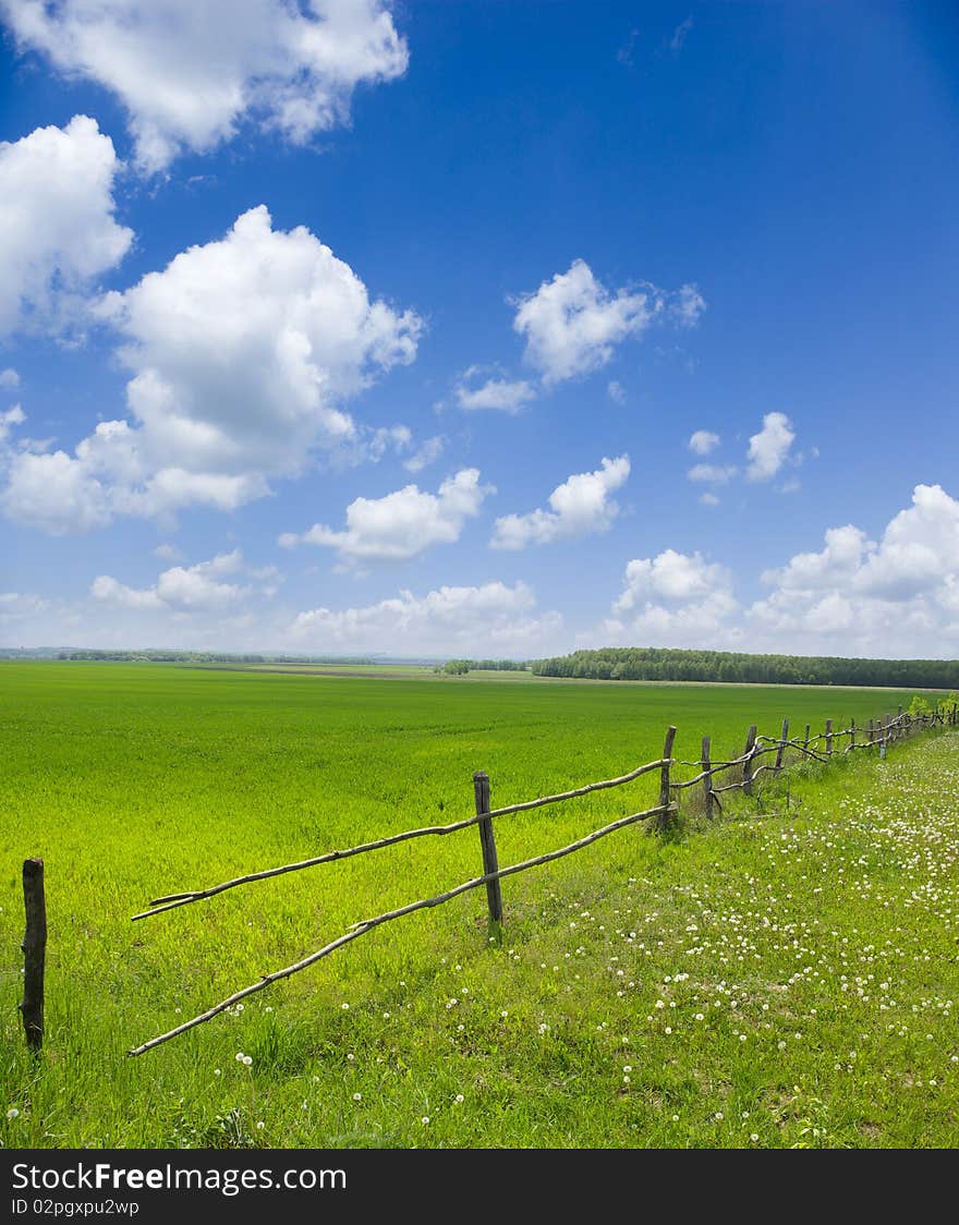 Green meadow under blue sky with clouds. Green meadow under blue sky with clouds