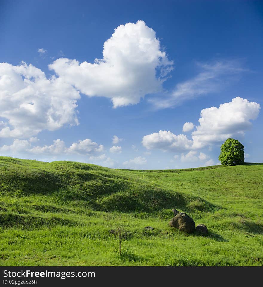 Green meadow under blue sky with clouds. Green meadow under blue sky with clouds