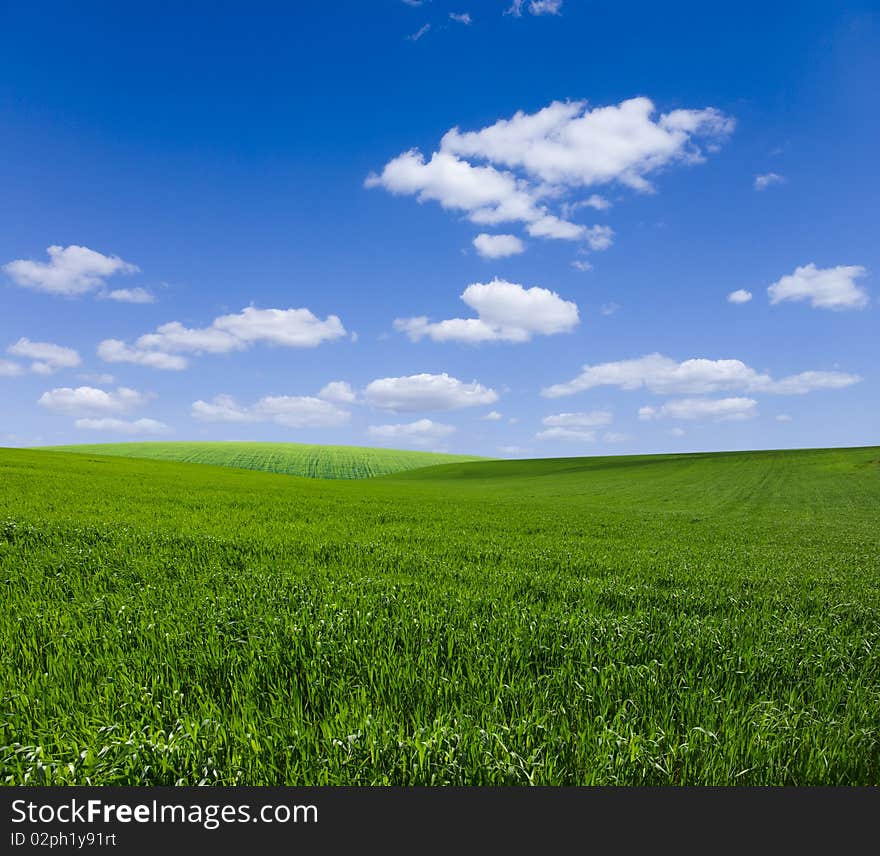 Green meadow under blue sky with clouds. Green meadow under blue sky with clouds