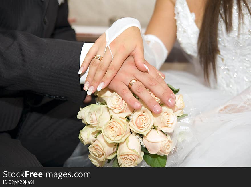 Bride and Groom's hands. Bride and Groom's hands