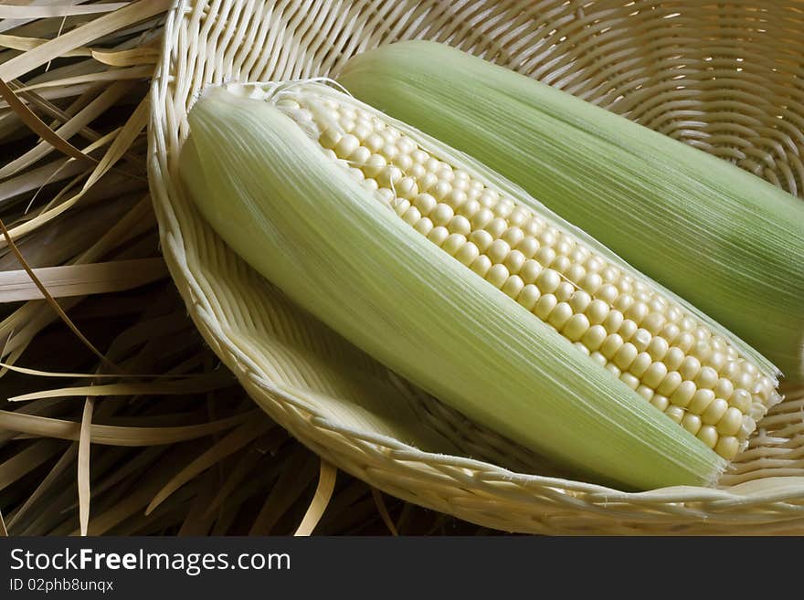 background of sweetcorn