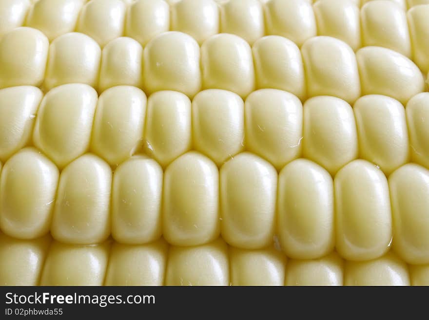 A background of  corn on the cob. A background of  corn on the cob