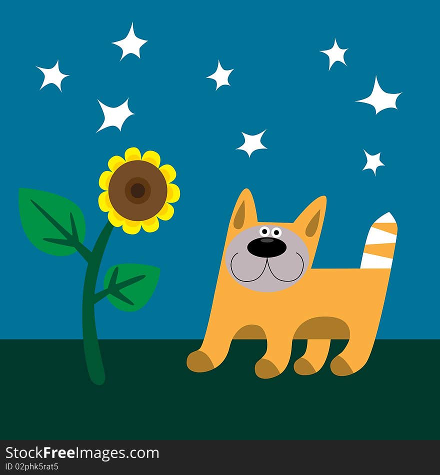 Cat walking at the night and sunflower. Cat walking at the night and sunflower