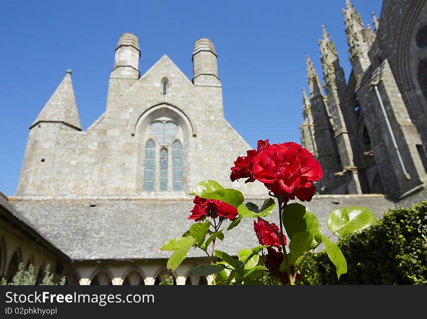 Rose at monastery