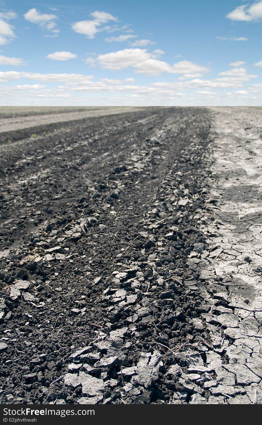 Earth cracked by drought summer