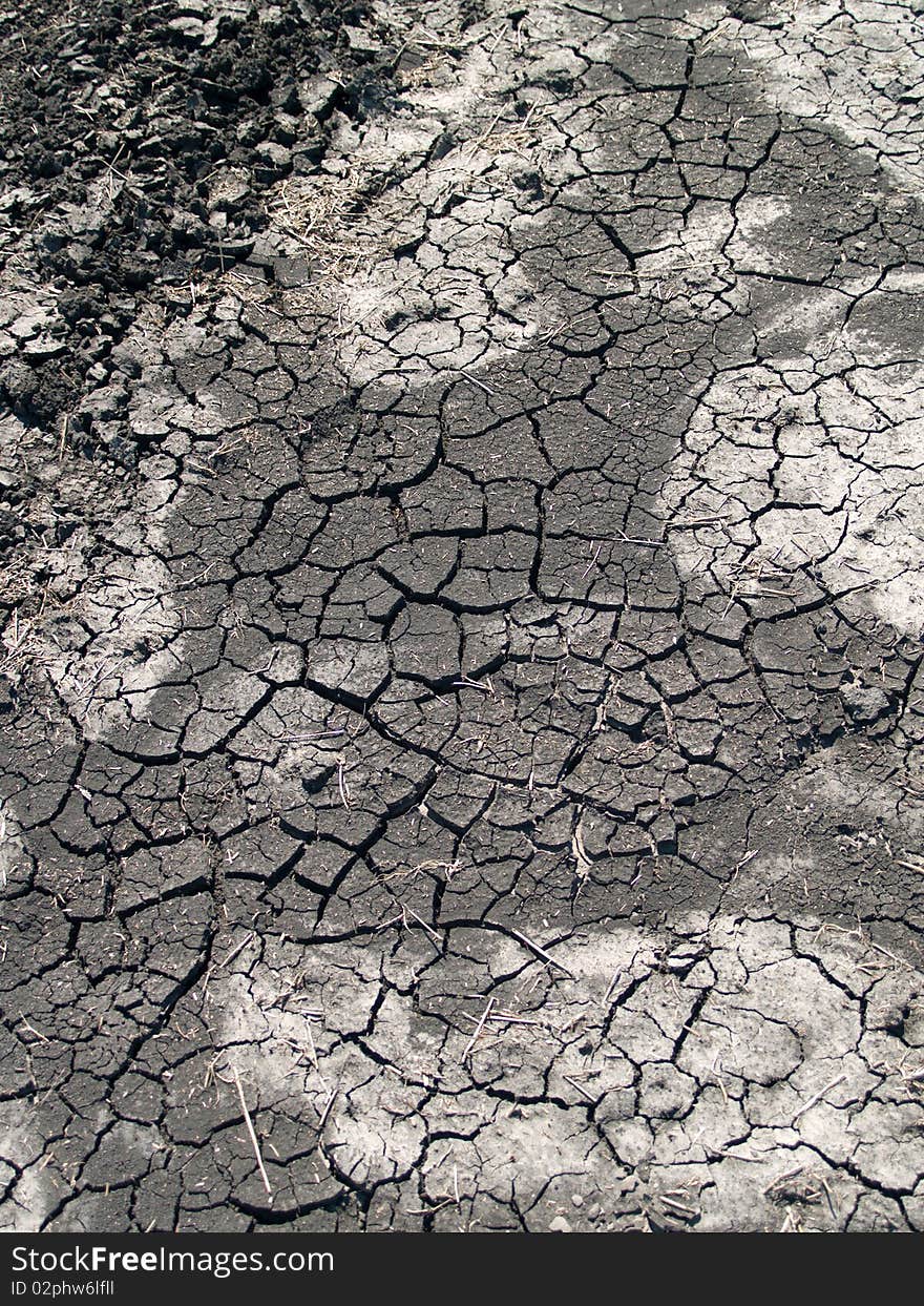 Earth cracked by drought summer