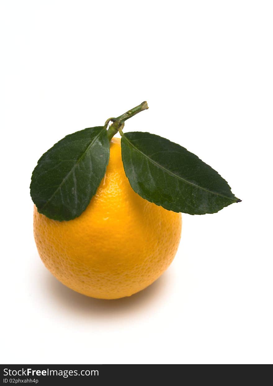 Lemon