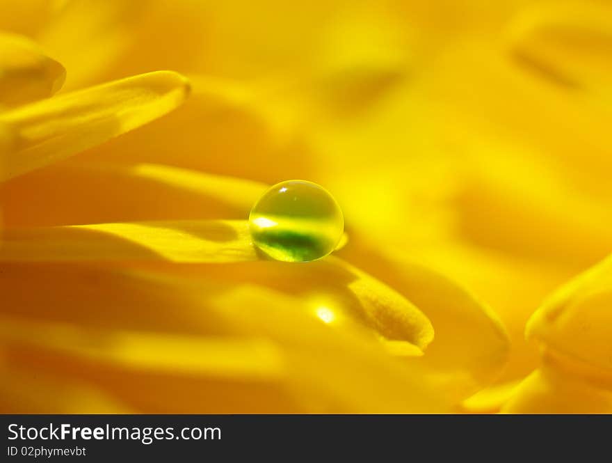 Water bubble on the yellow flower petals