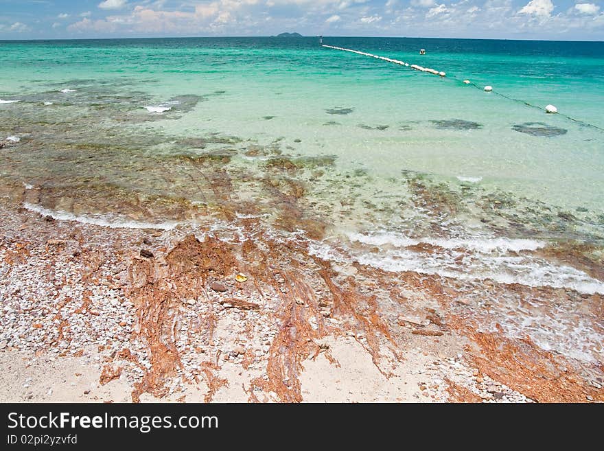 Lan island. The beach of Thailand