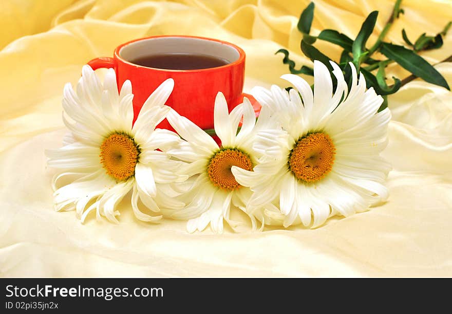 Orange cup  and camomiles at the background