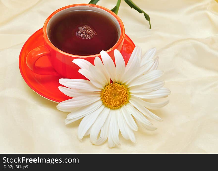 Orange cup tea  and camomiles at the background