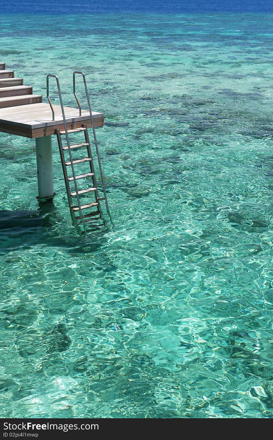 A ladder leading into the crystal-clear turquoise sea and coral reef. A ladder leading into the crystal-clear turquoise sea and coral reef