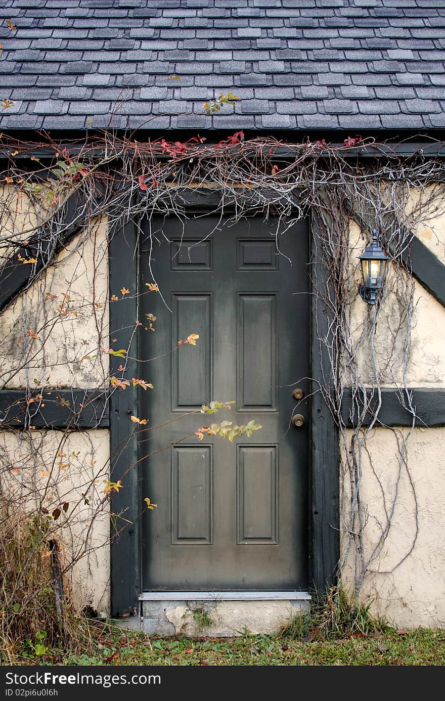 Vine covered doorway