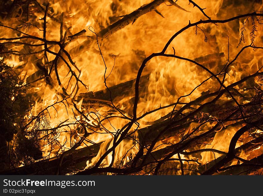 Closeup of the blazing fire of dry forest. Closeup of the blazing fire of dry forest.