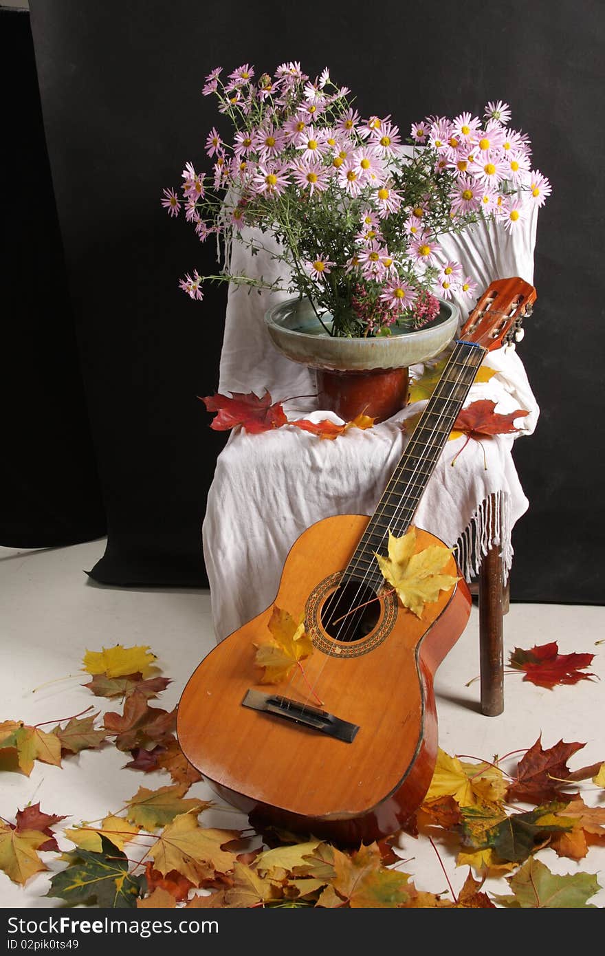 Guitar with flowers and leaves. Guitar with flowers and leaves