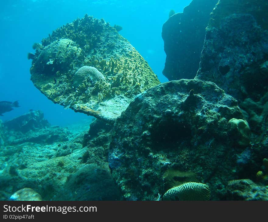 Reef of chinchorro banks mexico. Reef of chinchorro banks mexico