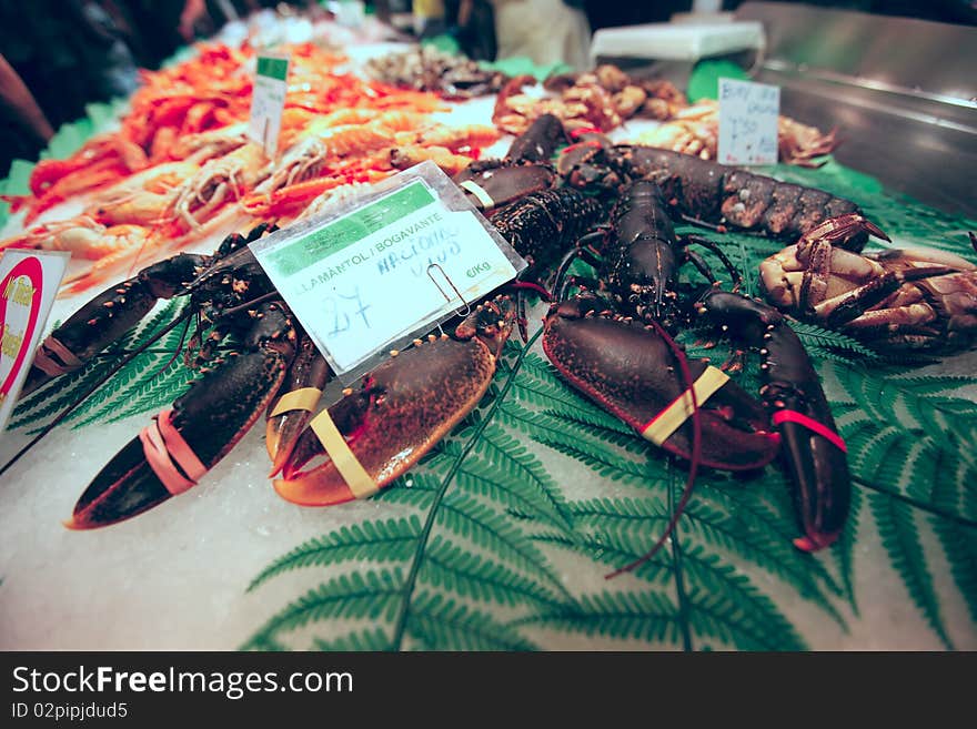 Fresh lobster and prawn for sale. Fresh lobster and prawn for sale