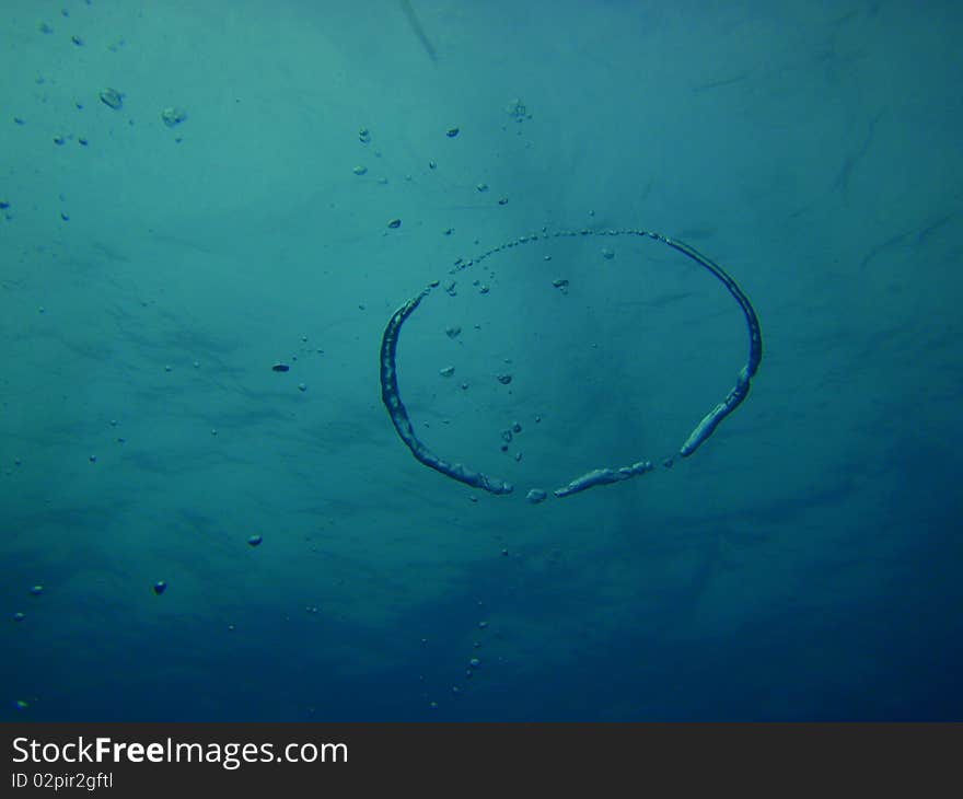 Reef of chinchorro banks mexico. Reef of chinchorro banks mexico