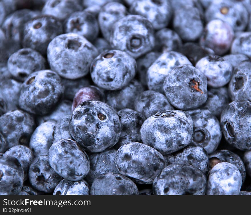 Full frame filled with fresh blue berries. Full frame filled with fresh blue berries