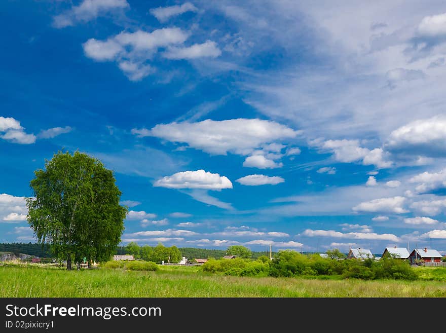 Green grass and blue sky. Horizontal image. Green grass and blue sky. Horizontal image