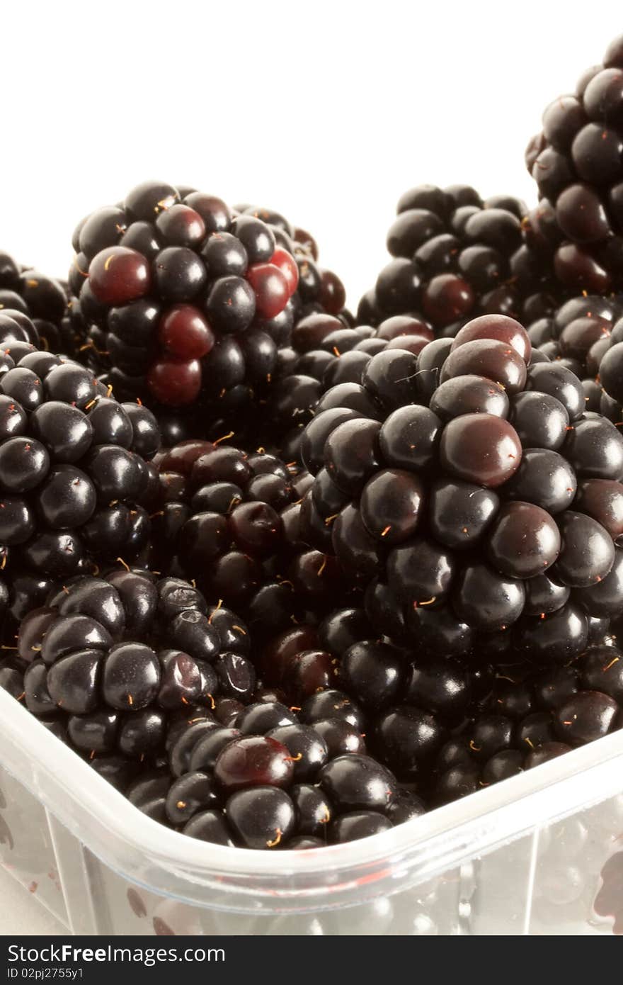 Delicious fresh Blackberries against a white background