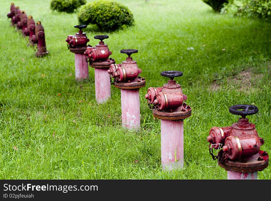 Green facilities on the green lawn. Green facilities on the green lawn