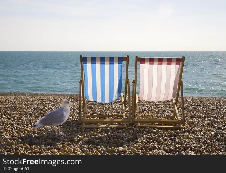 Seagul with two deckchairs on Brighton Beach,. Seagul with two deckchairs on Brighton Beach,