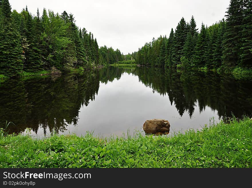 Forest reflecting on lake