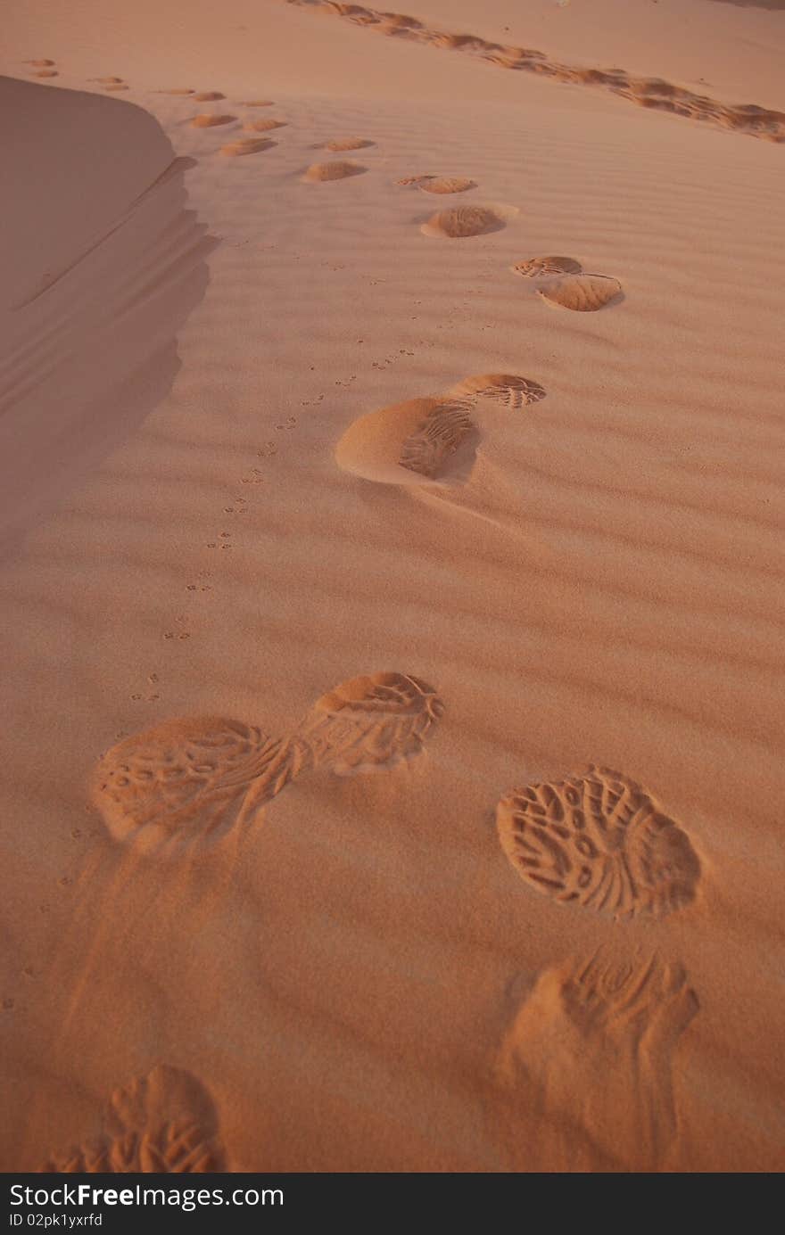 Morning Walk In The Sahara